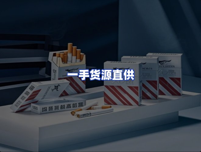 专业团队